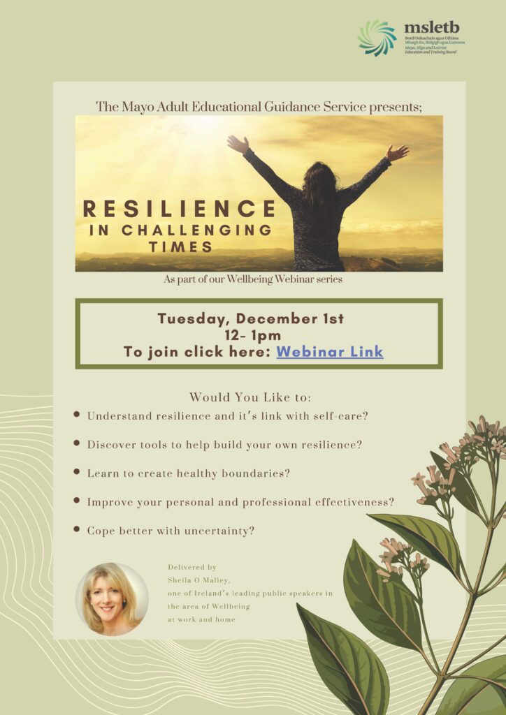 Resilience in Challenging Times Webinar 